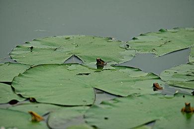 《不朽者传奇》配置公开 最低RTX 2080 Super